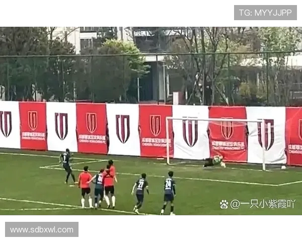 重庆足球队在城市联赛中的战术分析与表现评估